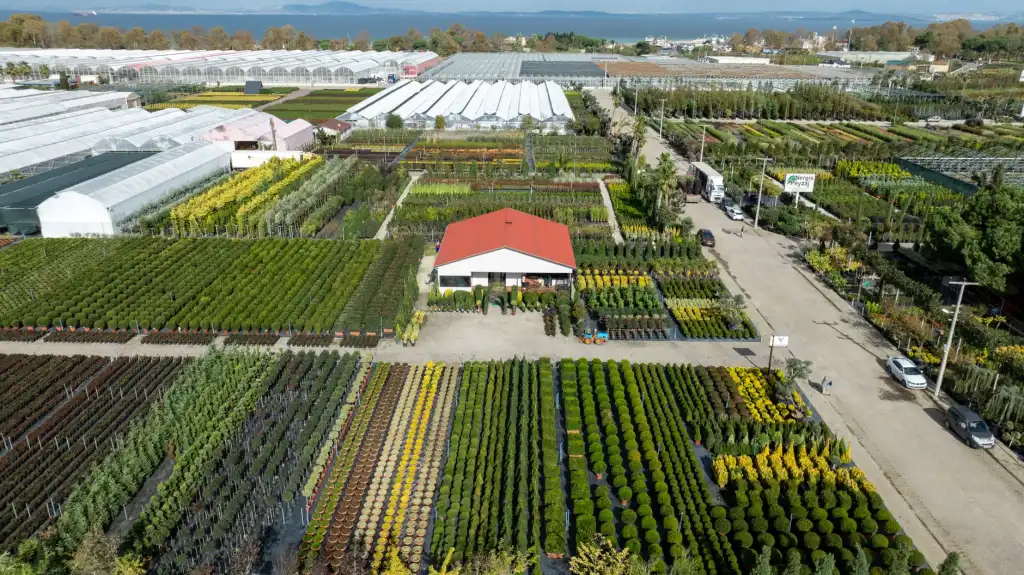 工厂仓储搬运设备选型指南：电动叉车与搬运车应用场景解析